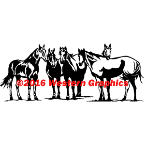 5 Horses - Style #165