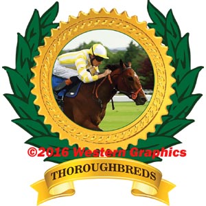 Thoroughbreds - Style #2038