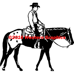 Western Pleasure - Male - Appaloosa - Style #20APP