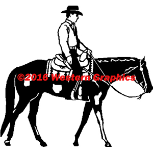 Western Pleasure - Male - Paint - Style #20P
