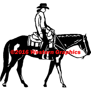 Western Pleasure - Female - Paint - Style #21P