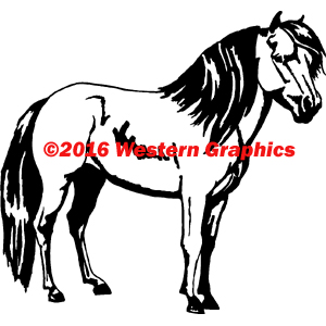 Miniature Horse - Style #251