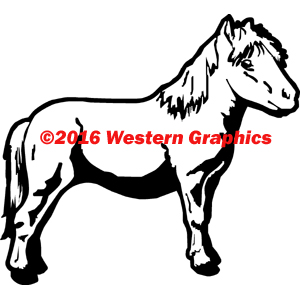 Miniature Pony - Style #252