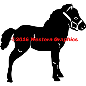 Miniature with Halter - Style #253