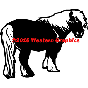 Shetland Pony - Style #254