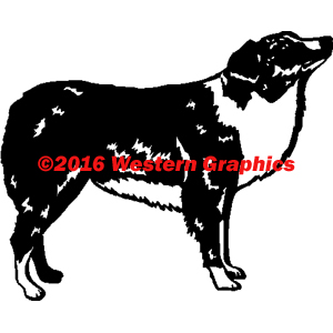 Australian Shepherd - Style #45