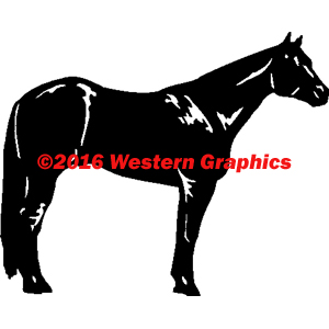 Quarter Horse - Style #49