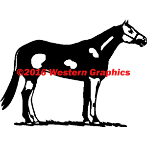Paint - Style #54P