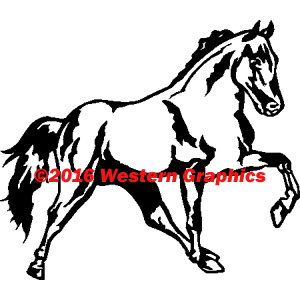 Tennessee Walker - Style #60