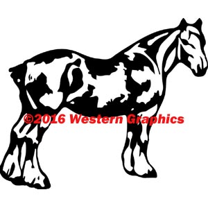 Clydesdale - Style #674