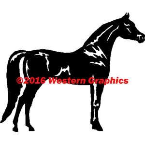 Arabian - Style #76