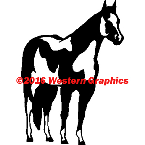 Paint Horse - Style #78