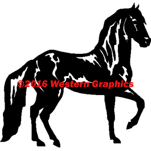 Paso Fino - Style #90