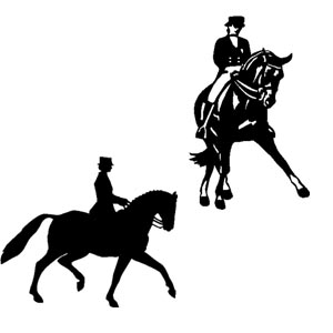Dressage