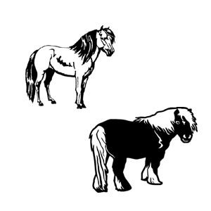 Miniatures
