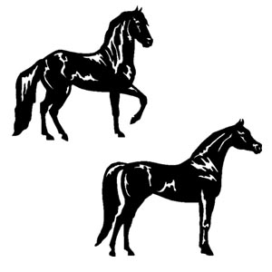 Misc. Breeds