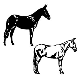 Mules
