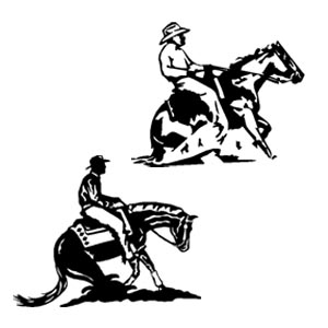 Reining